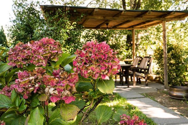 Agriturismo La Fagianaia Guest House Borgo a Buggiano Bagian luar foto